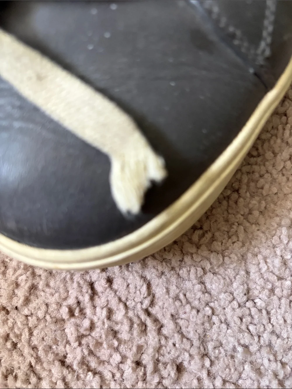 Rick Owen’s Leather Low-Top Sneakers in Graphite and Cream - Men's Casual Shoes